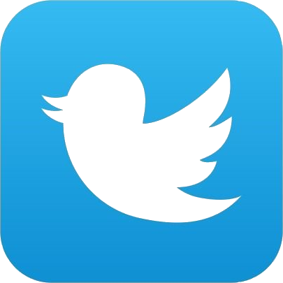 follow us on twitter